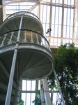 15472 Temperate house spiral staircase.jpg